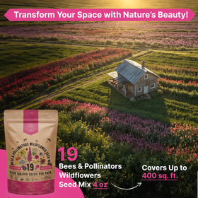 Organo Republic outdoor border displaying vibrant wildflowers attracting pollinators.