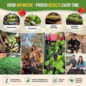 Organo Republic Poblano seeds for rich peppers in recipes.