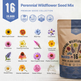 Organo Republic pollinator-friendly mix supports bees, butterflies, and birds.