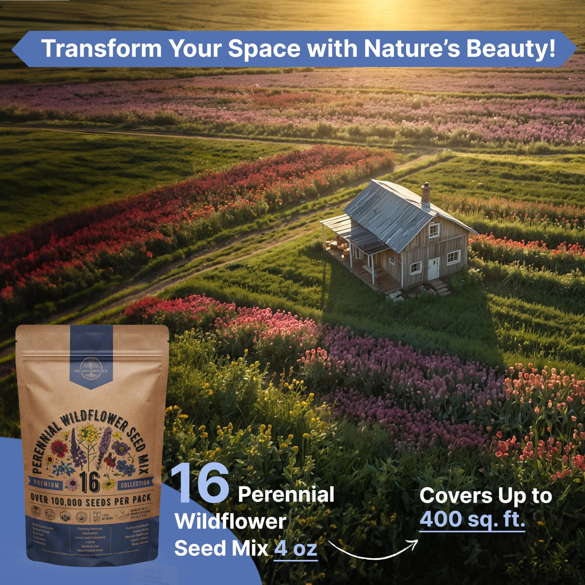 Organo Republic pollinator-friendly mix attracts bees, butterflies and birds to your yard or balcony.