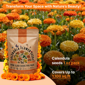 QR code on seed packet links to online growing guide for simple planting steps.