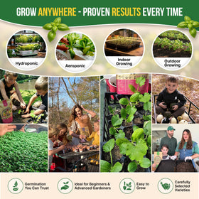 QR-guided growing guides help you start herbs confidently.