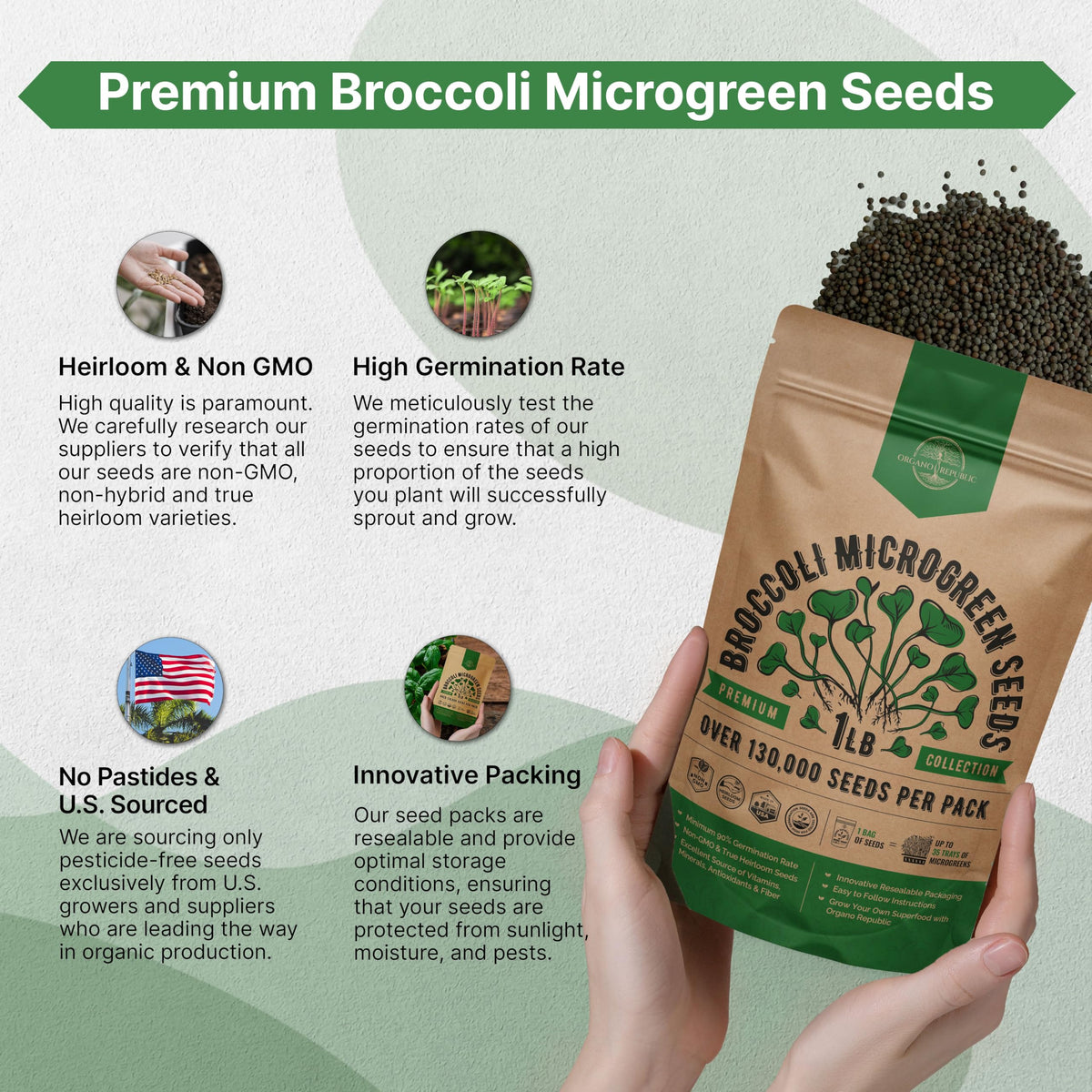 Organo Republic microgreens ready to harvest for fresh salads.