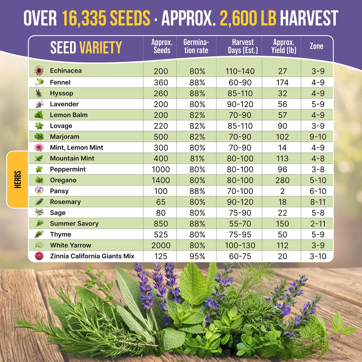 Organo Republic rosemary seeds pack for robust flavor and year-round harvest