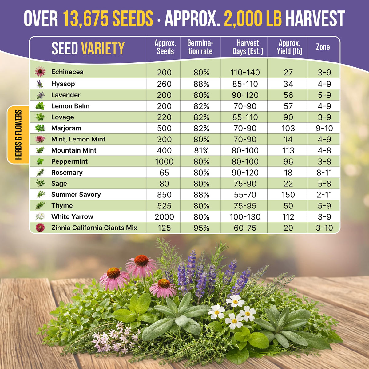 Organo Republic germination tests show strong seed viability.