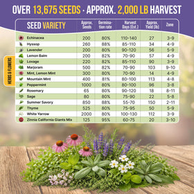Organo Republic germination tests show strong seed viability.