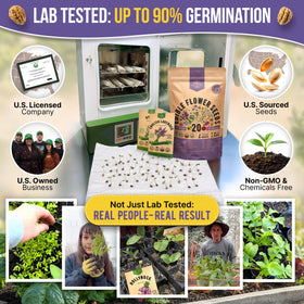 Organo Republic seed packets close-up showing QR guide for easy growing instructions.
