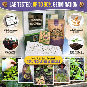 Organo Republic seed packets in a sunny indoor pot garden showcasing rapid sprouting