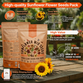Organo Republic sunflower seeds close-up highlighting non-GMO heirloom seeds