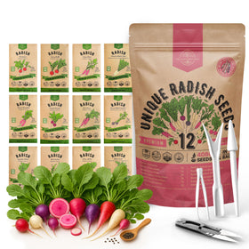 Organo Republic Watermelon radish seeds for vibrant salads and year-round harvests.
