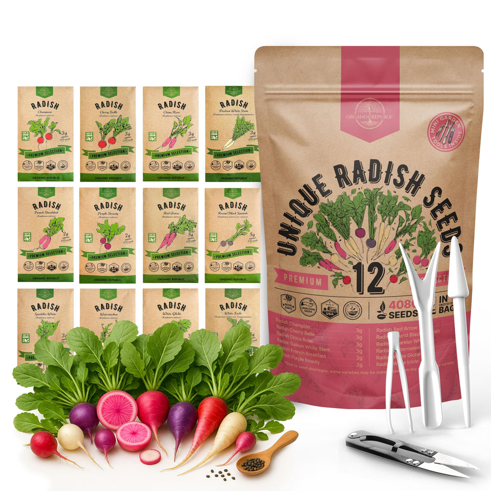 Organo Republic Watermelon radish seeds for vibrant salads and year-round harvests.
