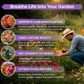 QR guide on Organo Republic zinnia seed packet for easy online growing tips.