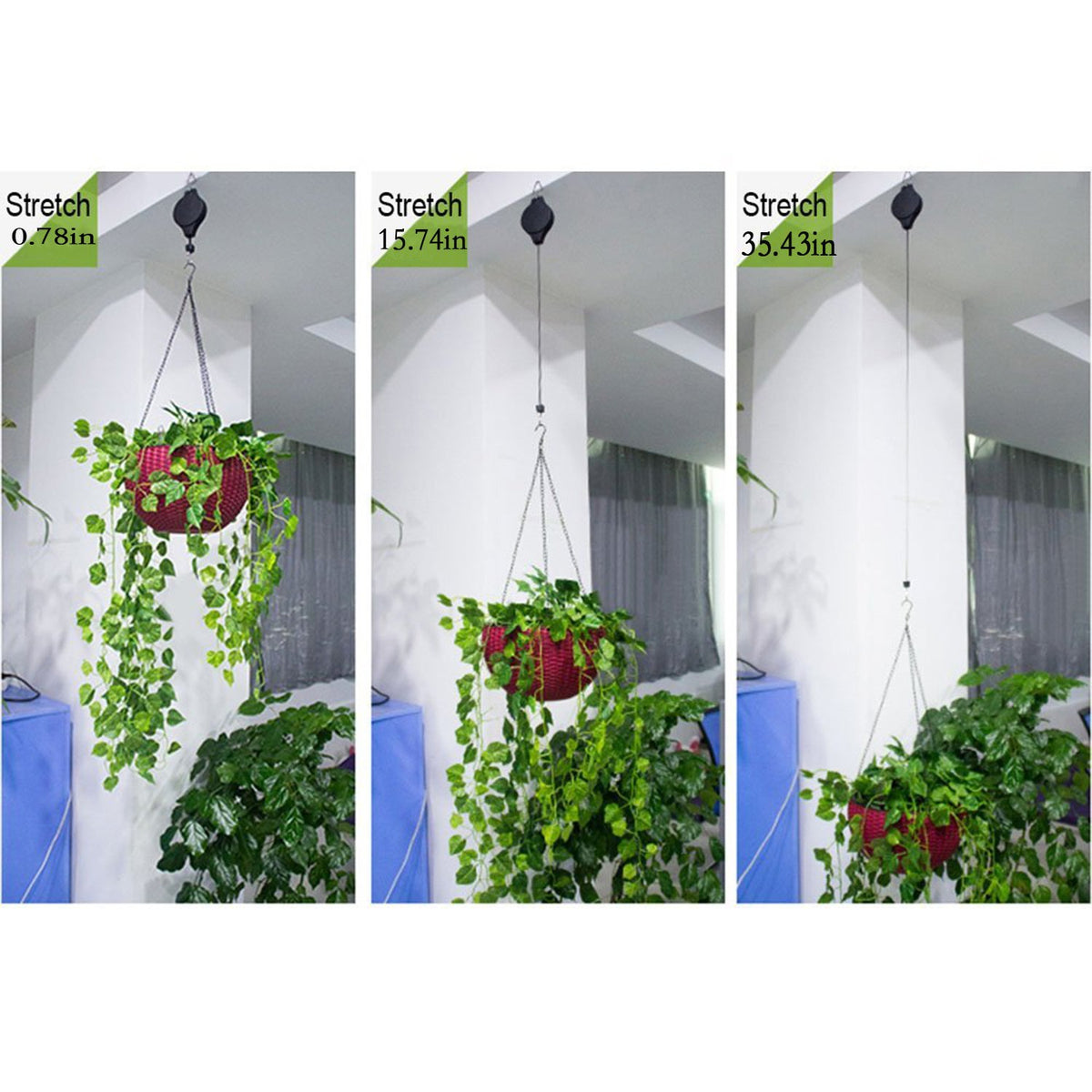 Orgrimmar Indoor Plant Hanger keeps pots neat and accessible.