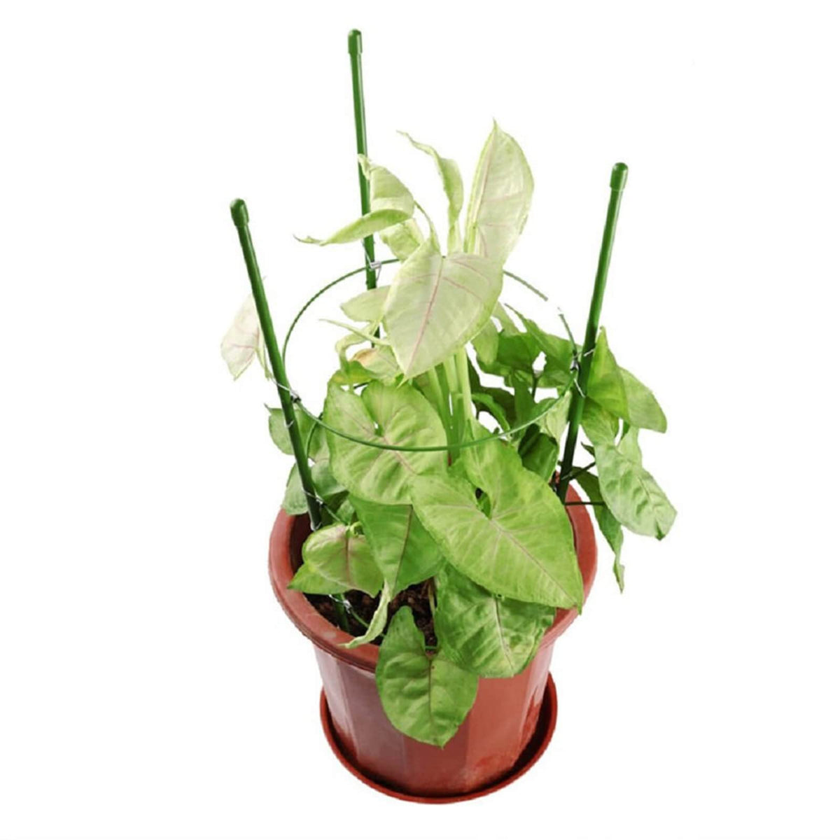 Orgrimmar dual-pack fits balcony corners for compact gardening