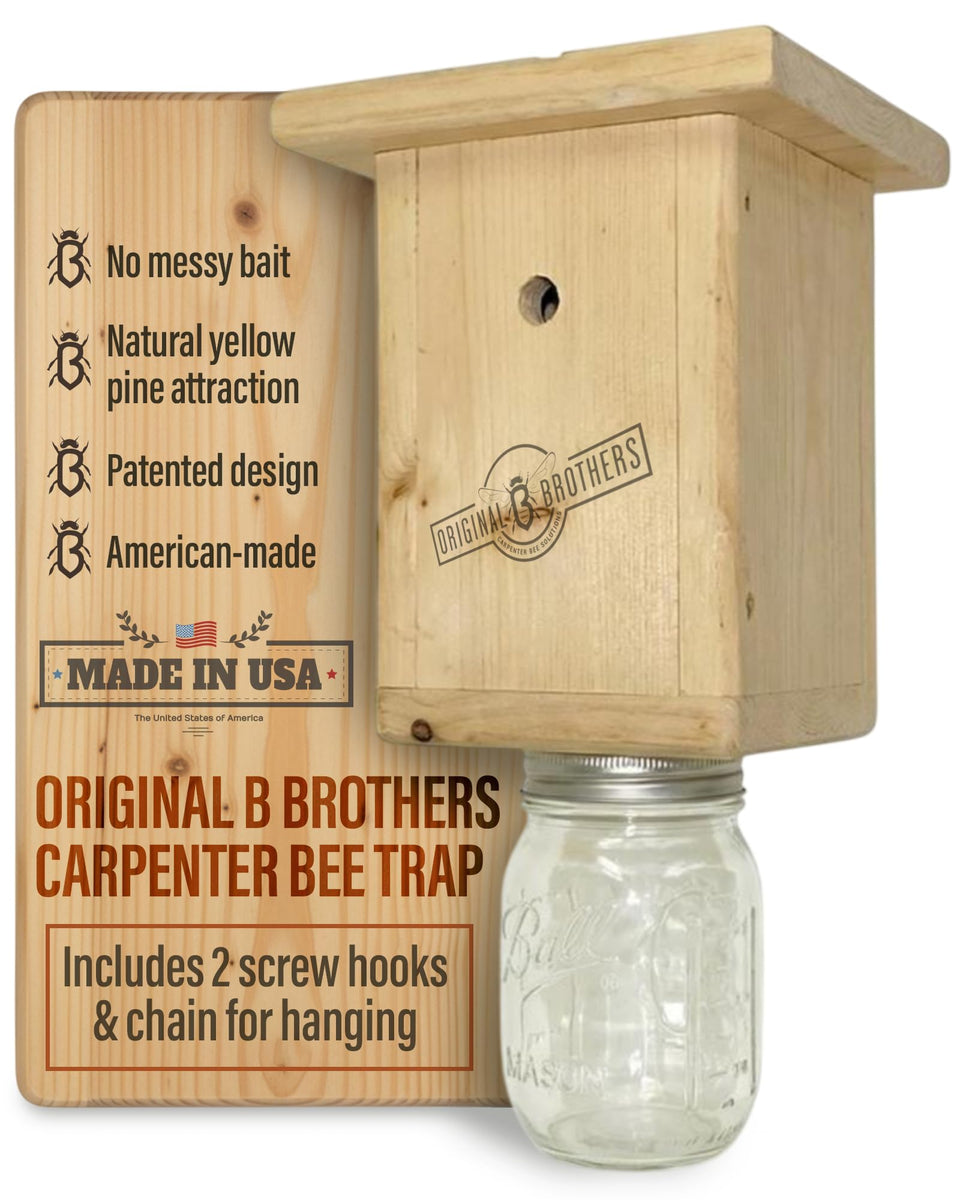 Original B Brothers carpenter bee trap with hanging jar attracts bees for outdoor control.