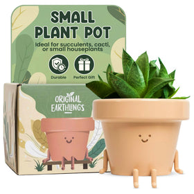 Original Earthlings adoption certificate gift pot inspires plant lovers.