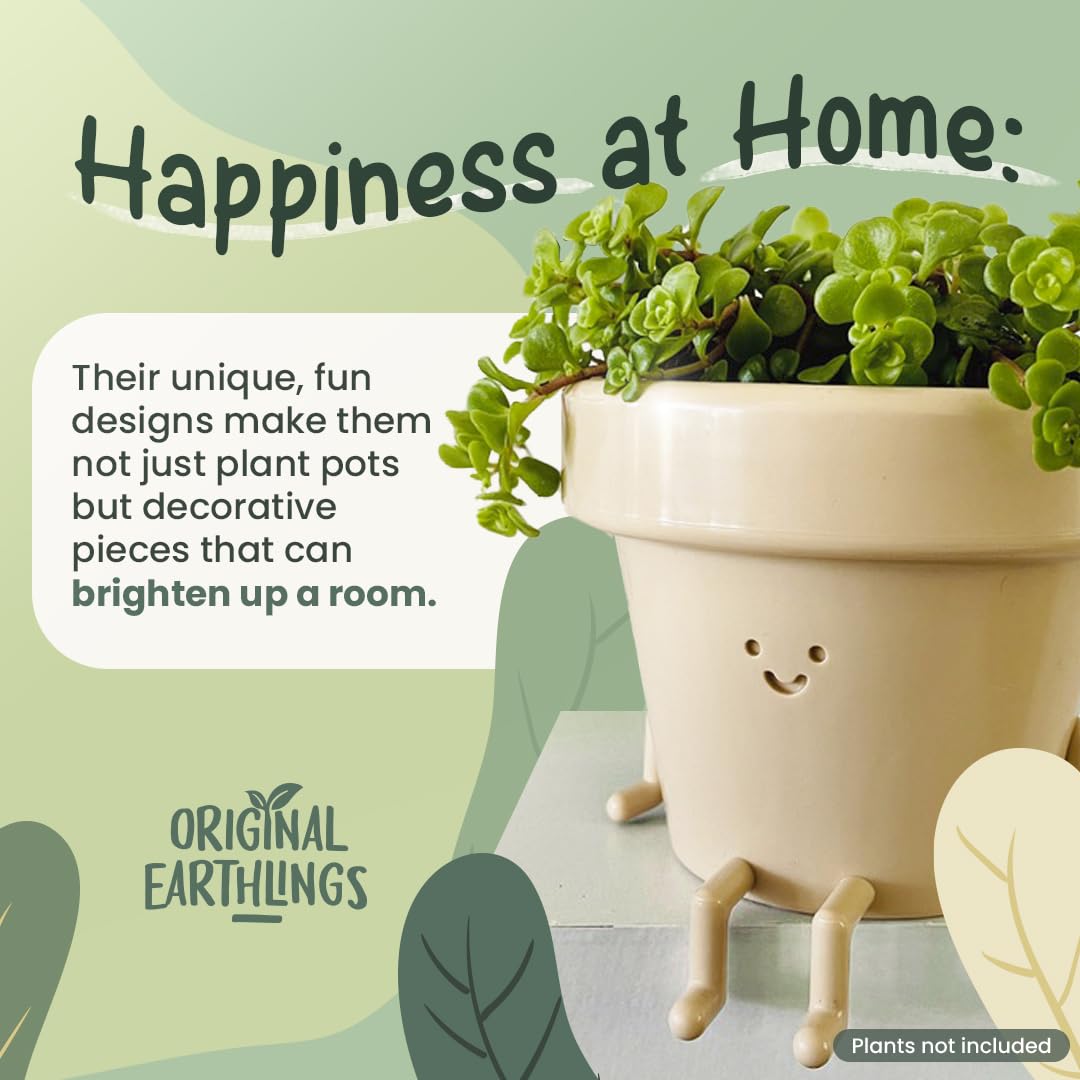 Original Earthlings indoor planter for home or office decor.