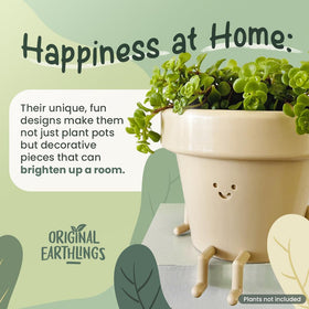 Original Earthlings indoor planter for home or office decor.