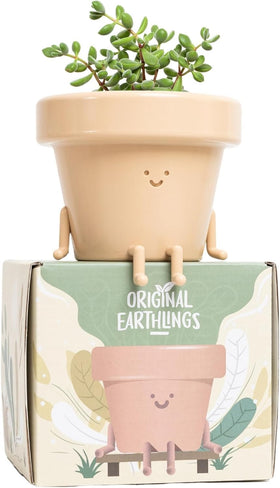 Original Earthlings sitting small plant pot 4-inch, ideal for succulents on a windowsill.