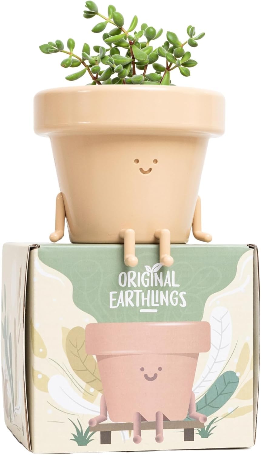 Original Earthlings sitting small plant pot 4-inch, ideal for succulents on a windowsill.