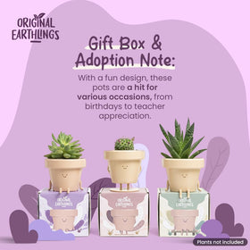 Original Earthlings succulent face flower pot ideal for tiny plants.