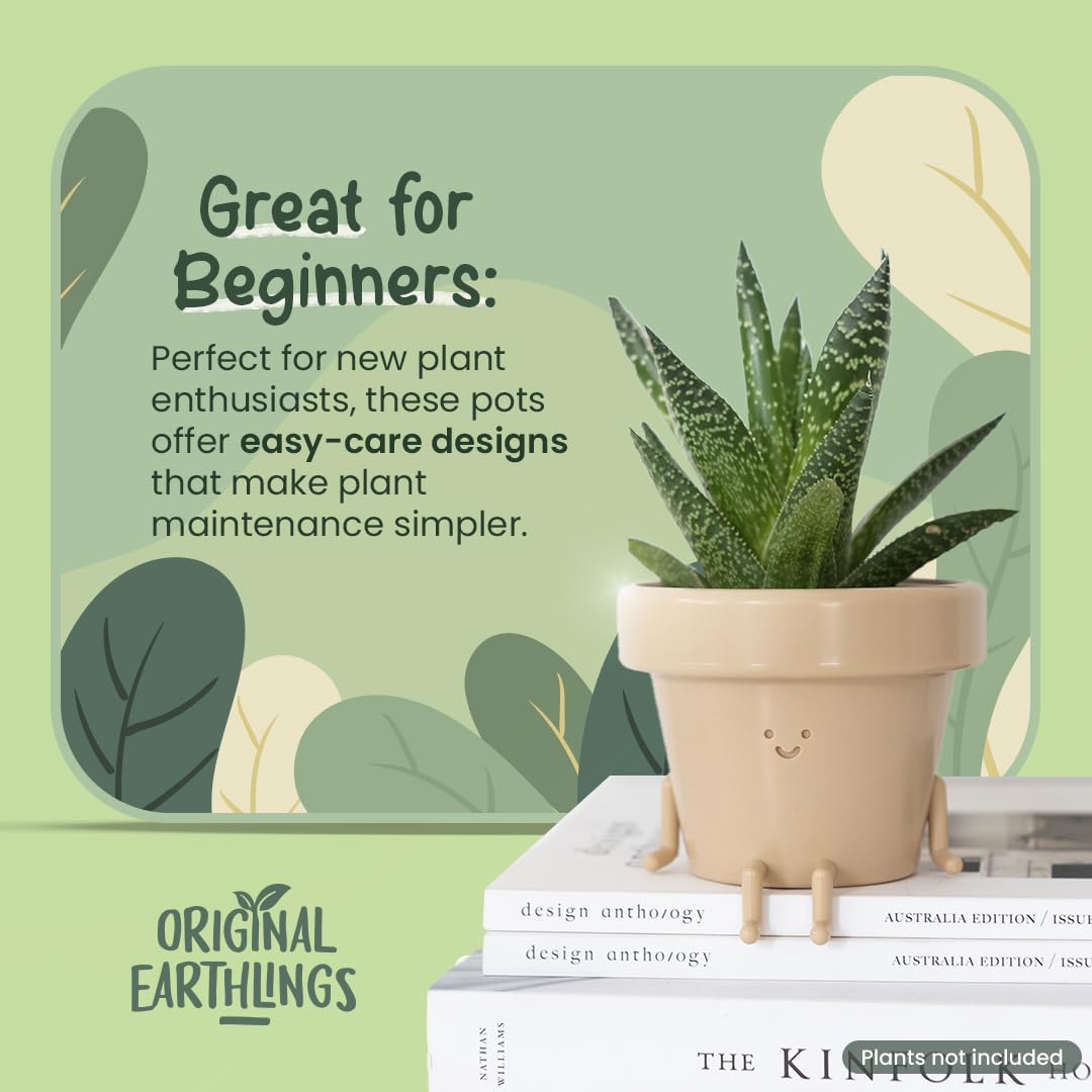 Original Earthlings windowsill desk pot, ideal for small spaces and decor.