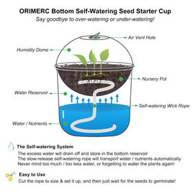ORIMERC clear pots with drainage prevent waterlogging and support healthy roots
