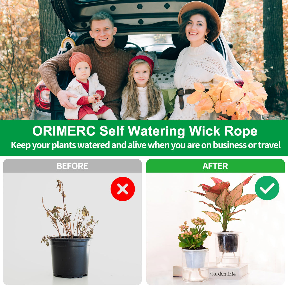 ORIMERC compatible growing media like clay pellets and rock wool in pots