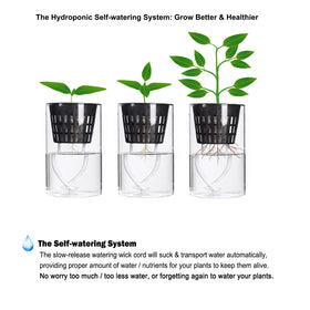 ORIMERC net pots for Kratky jar installations and simple hydroponic setups