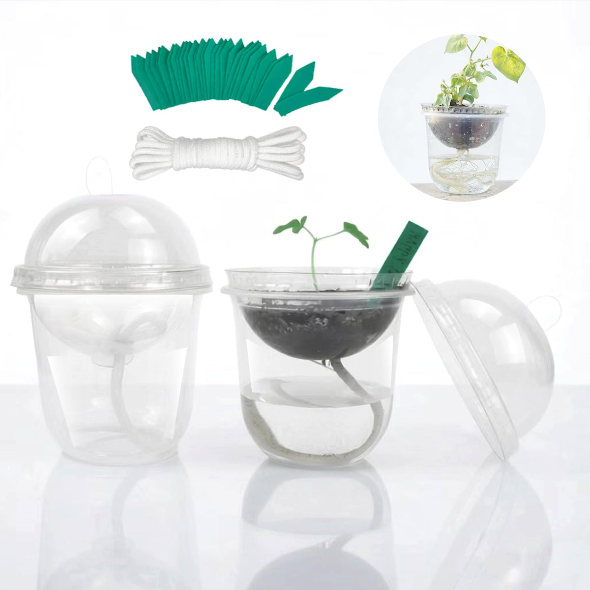 ORIMERC nursery pots with dome for visible germination and moisture control