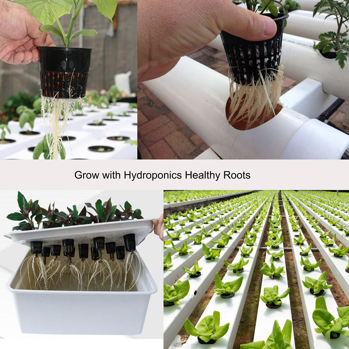 ORIMERC orchid net pot with airy mesh promoting airflow around roots