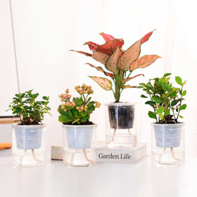 ORIMERC plant care system setup for DIY irrigation