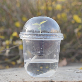 ORIMERC plant labels help track varieties and growth progress