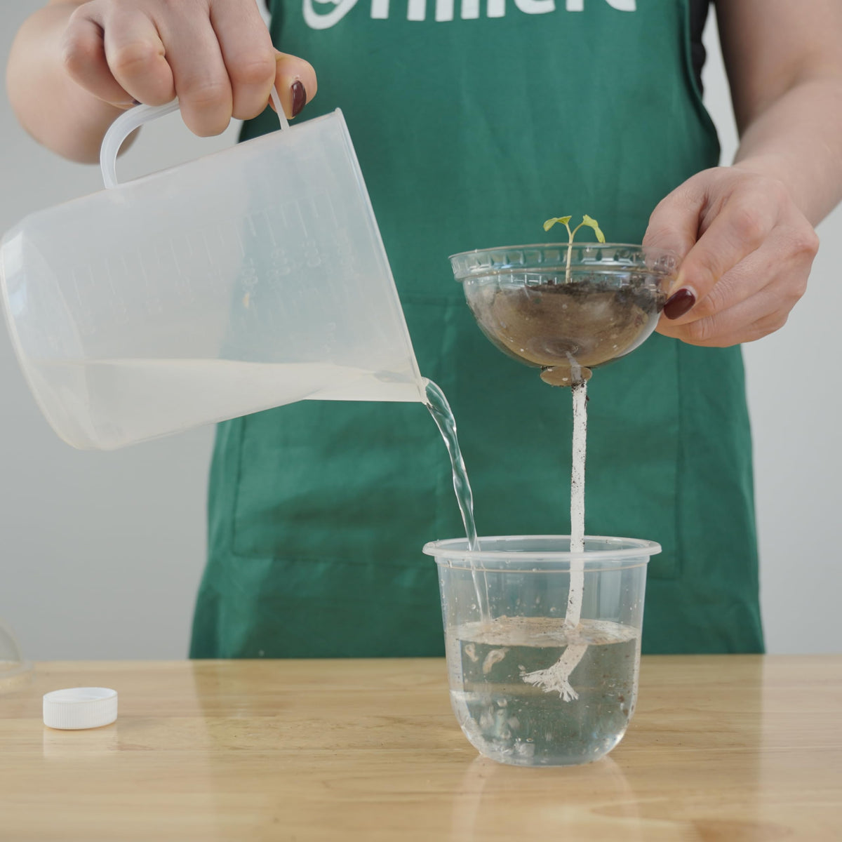 ORIMERC reusable seed starter pots promote sustainable gardening across seasons