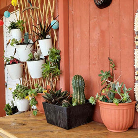 ORIMERC wall-mount planter in a vertical garden setup for compact spaces.