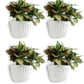 ORIMERC white wall planter front view showing compact vertical design for small spaces.