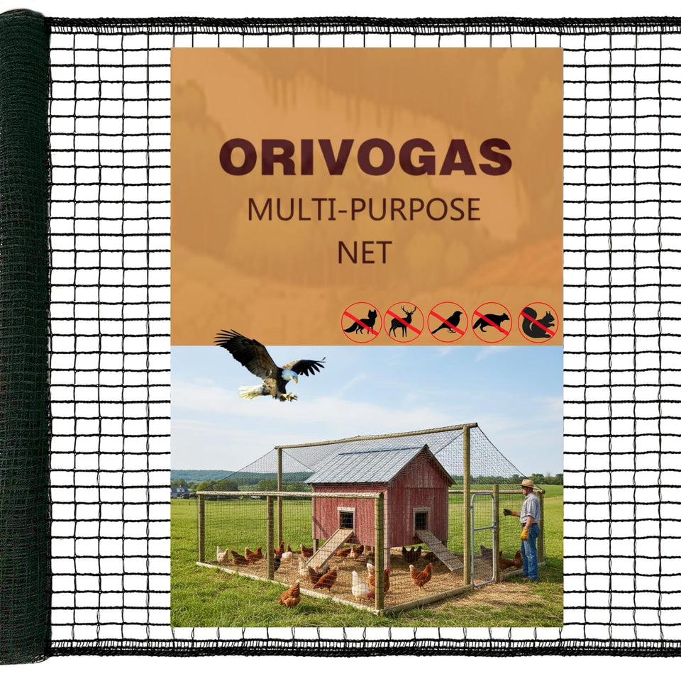 ORIVOGAS heavy-duty netting over a chicken coop protecting poultry from aerial threats