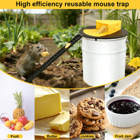 Ormark indoor setup shown in kitchen corner for subtle pest control