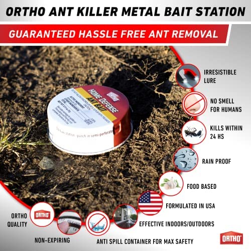 Ortho Ant Killer adhesive base securing a trap