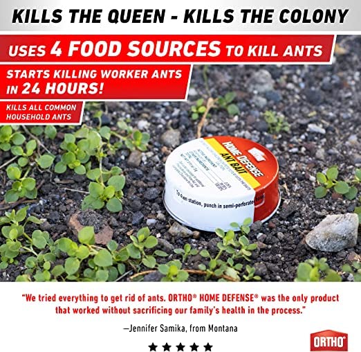 Ortho Ant Killer Indoor activation puncture for quick use