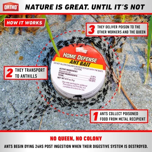 Ortho Ant Traps Indoor bait placement in wall corner area