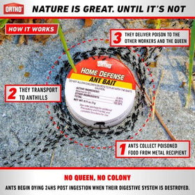 Ortho Ant Traps Indoor bait placement in wall corner area