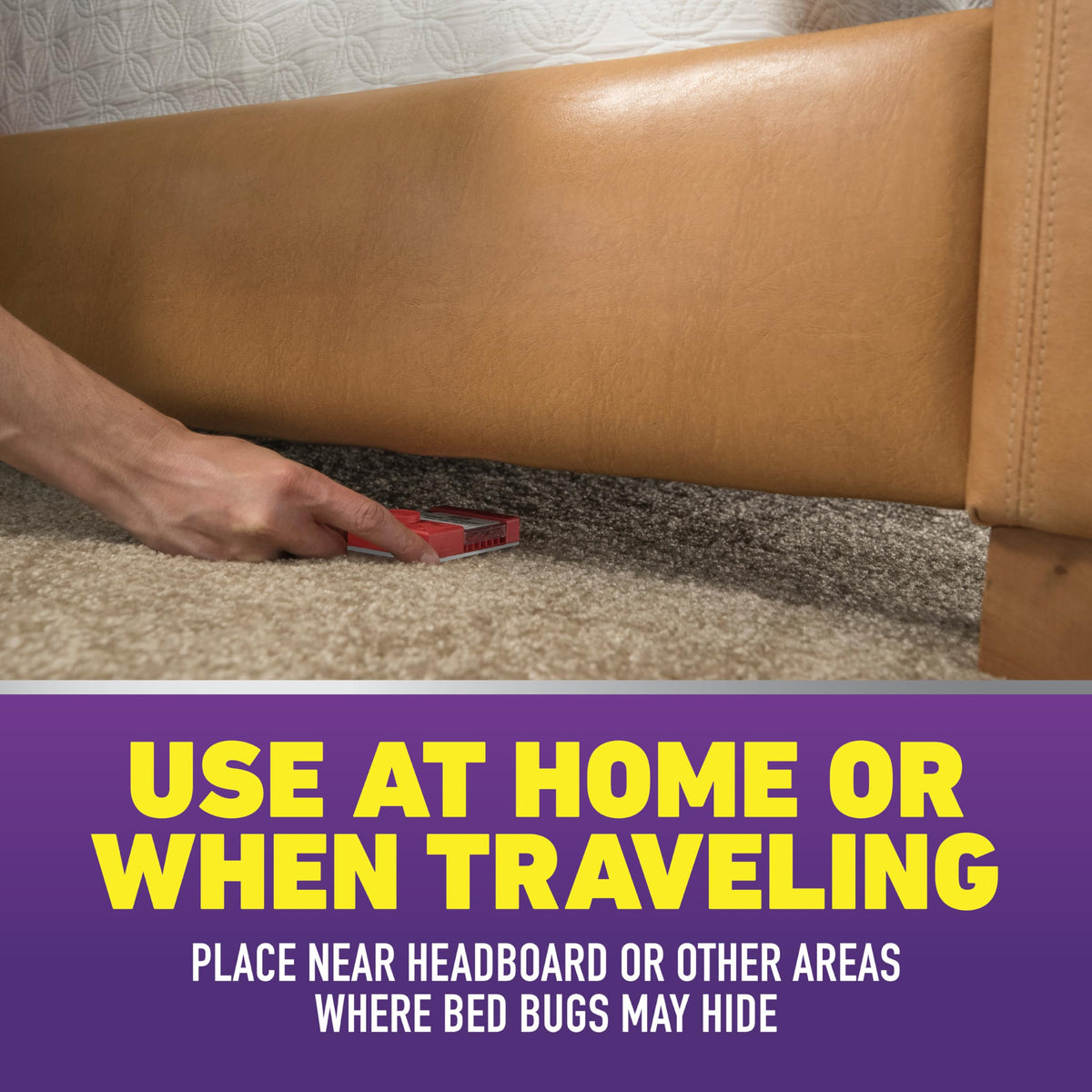 Ortho bed bug trap near sofa helps detect intruders in living spaces.