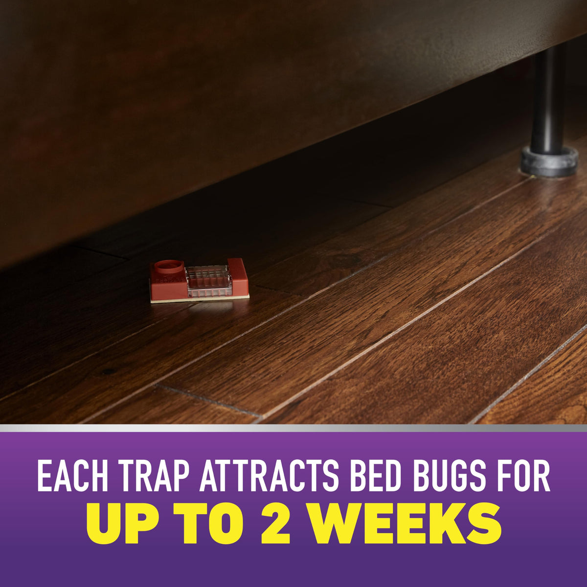 Ortho bed bug trap viewing window enables easy monitoring results.