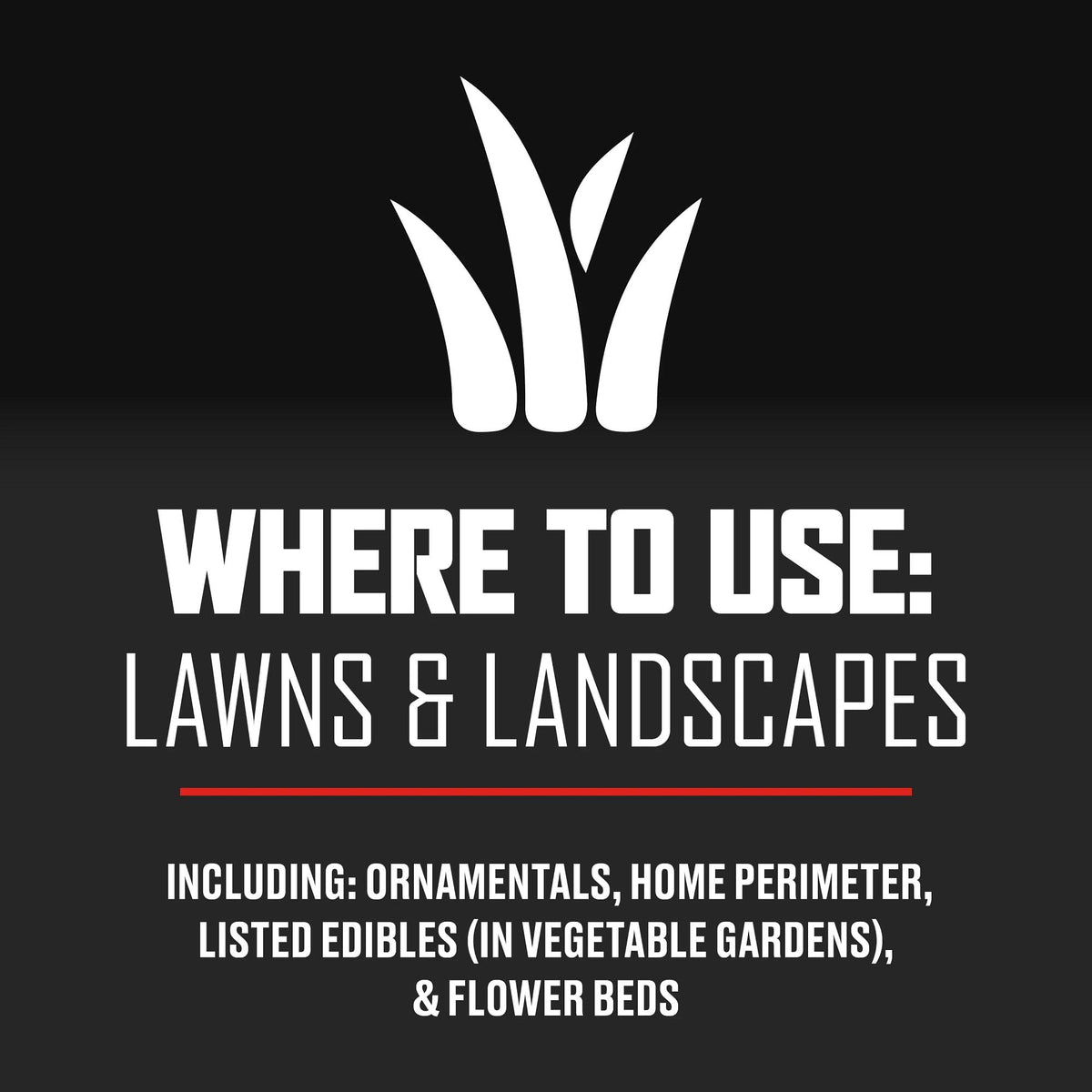 Garden border and ornamental plants protected by Ortho BugClear granules