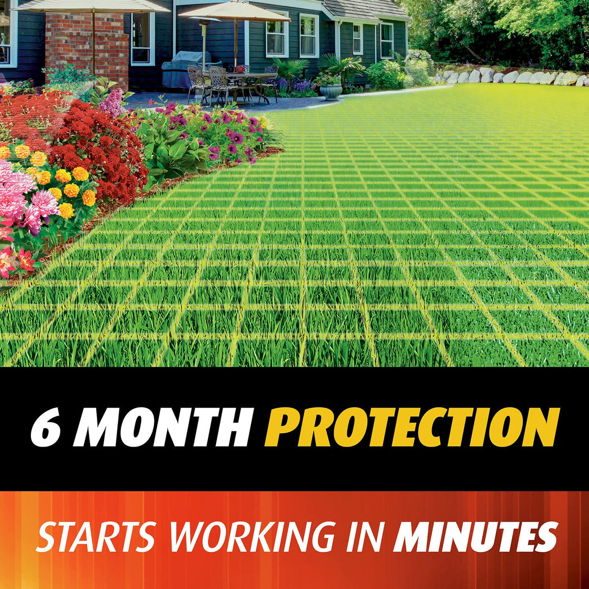 Ortho recommends Step 1 before Step 2 to reduce existing mounds.
