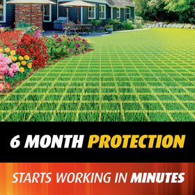 Ortho recommends Step 1 before Step 2 to reduce existing mounds.