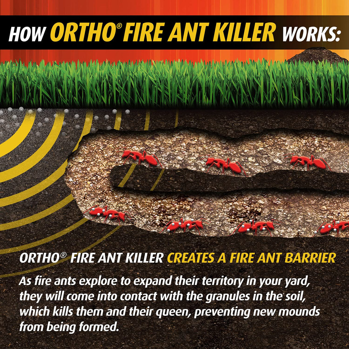 Ortho Step 2 supports the 2-step system against mounds.