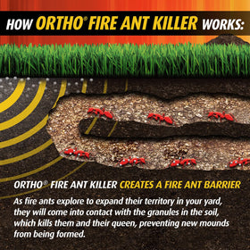 Ortho Step 2 supports the 2-step system against mounds.