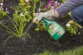Ortho Grass B Gon bottle close-up with label guidance for safe use.